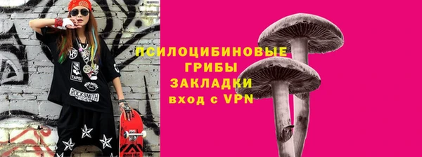 дурь Алексеевка