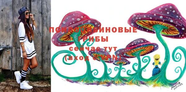 дурь Алексеевка
