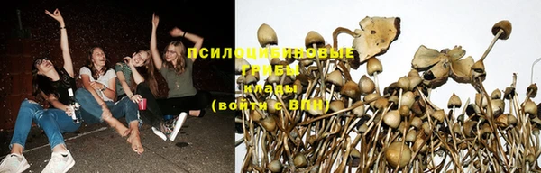 экстази Алзамай