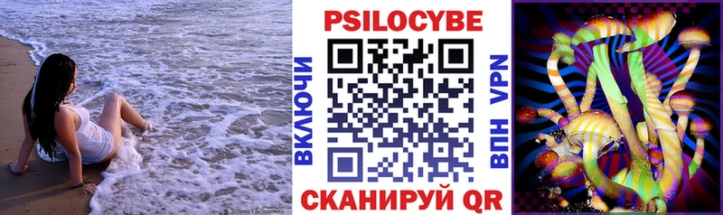 Галлюциногенные грибы Psilocybine cubensis Салехард